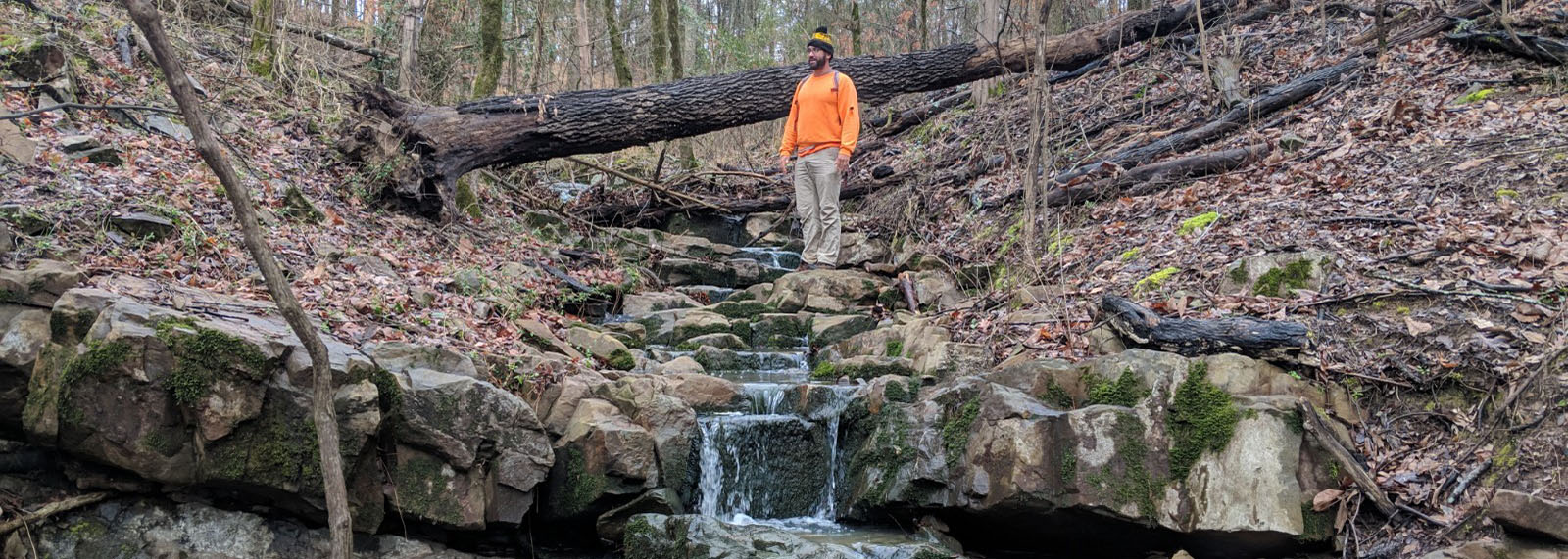 Arkansas, waterfall, trail plan, nature, leaves 