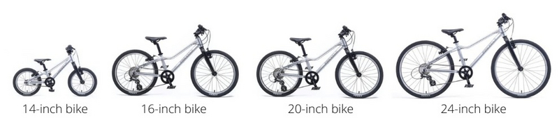 "Side by side comparison of 14-, 16-, 20-, and 24-inch bikes"