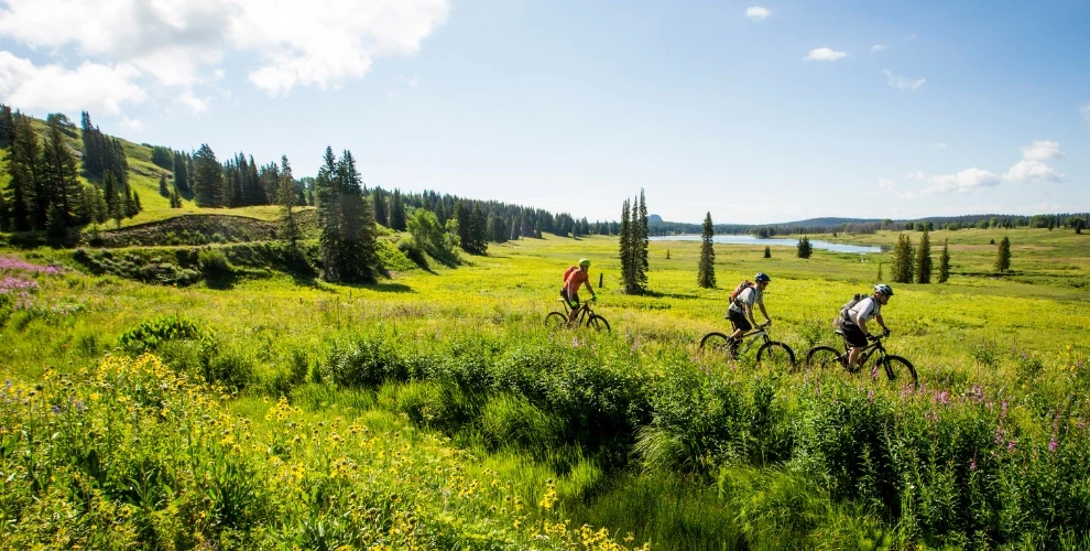 Three mountain bike riders in Medicine Bow-Routt County National Forest