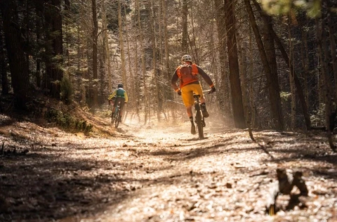 Mountain bikers in the Santa Fe National Forest