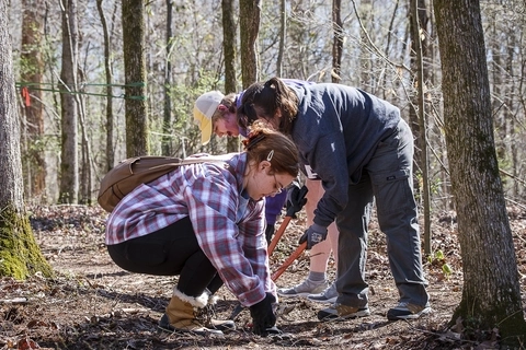 Three volunteers doing trail work in Wildwood Park