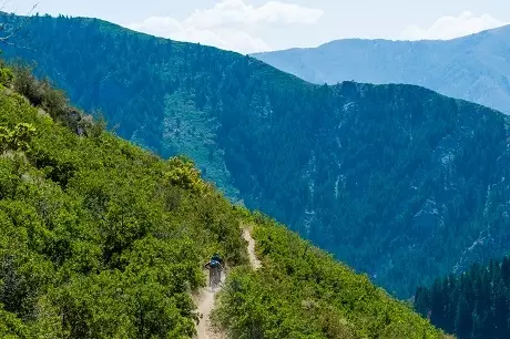 Mountain bikers on ridge trail