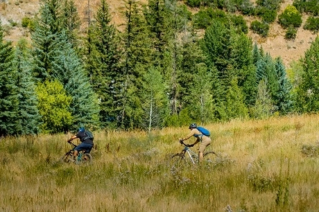 Two people riding mountain bikes in a valley